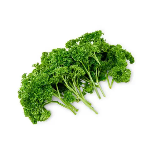 Parsley English 1Kg Netherlands